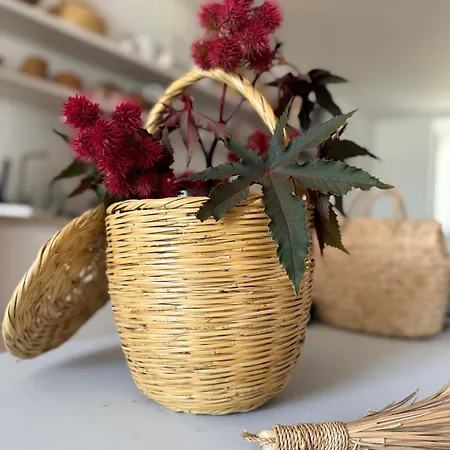 Danna Portuguese Design House Porta 11 * Tavira