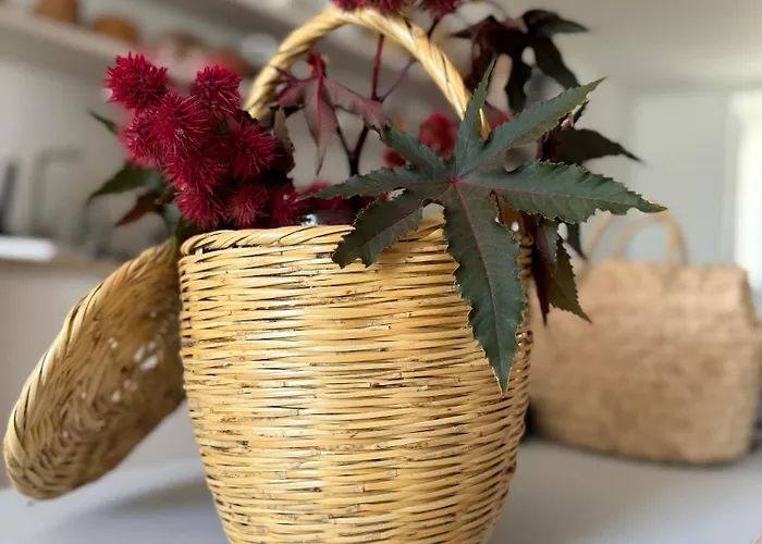Danna Portuguese Design House Porta 11 * Tavira